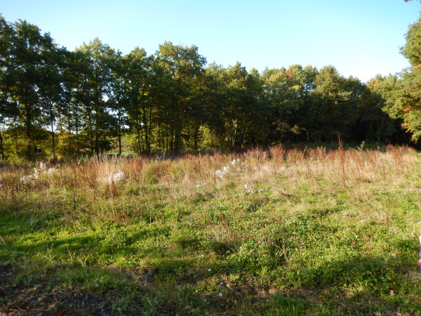 Offres de vente Terrain Mons 63310