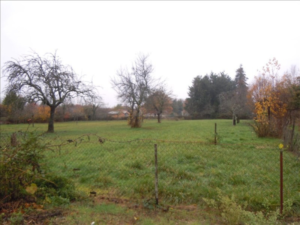 Offres de vente Terrain Randan 63310