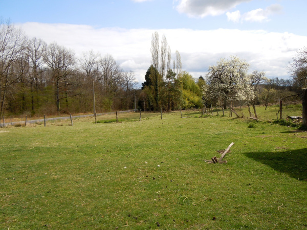 Offres de vente Terrain Randan 63310