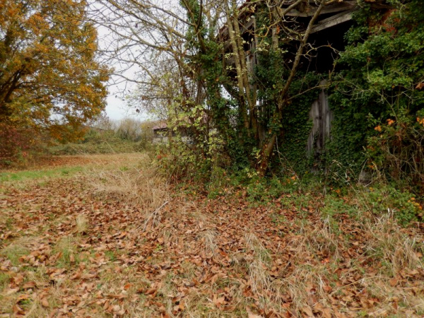 Offres de vente Terrain Beaumont-lès-Randan 63310