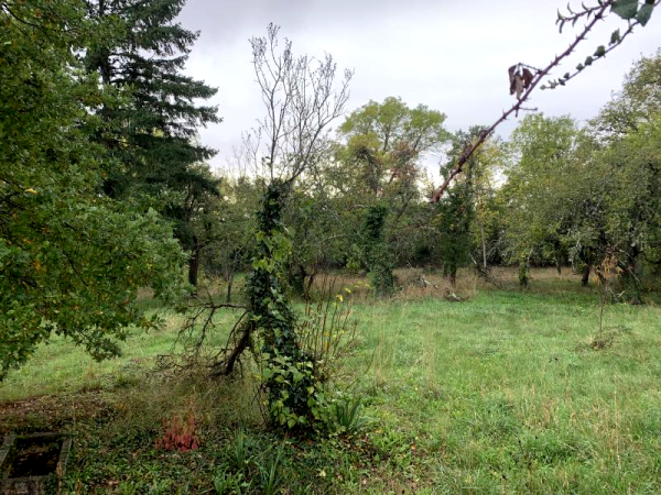 Offres de vente Terrain Randan 63310