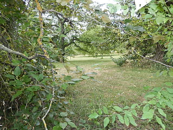 Offres de vente Terrain Cébazat 63118