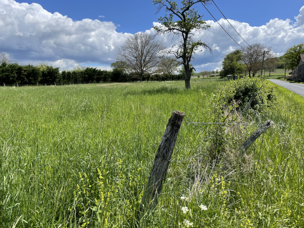 Offres de vente Terrain Saint-Denis-Combarnazat 63310