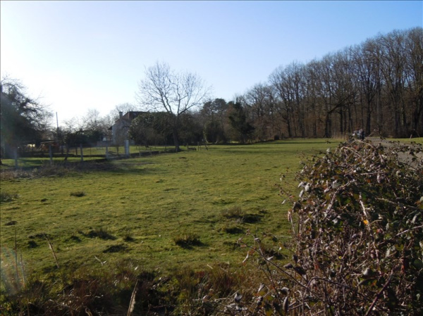 Offres de vente Terrain Randan 63310