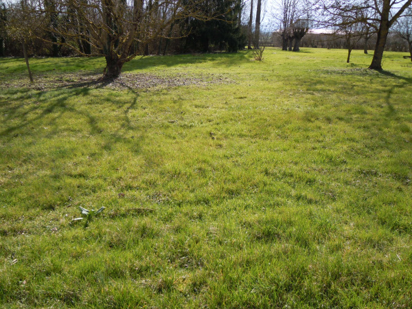 Offres de vente Terrain Randan 63310